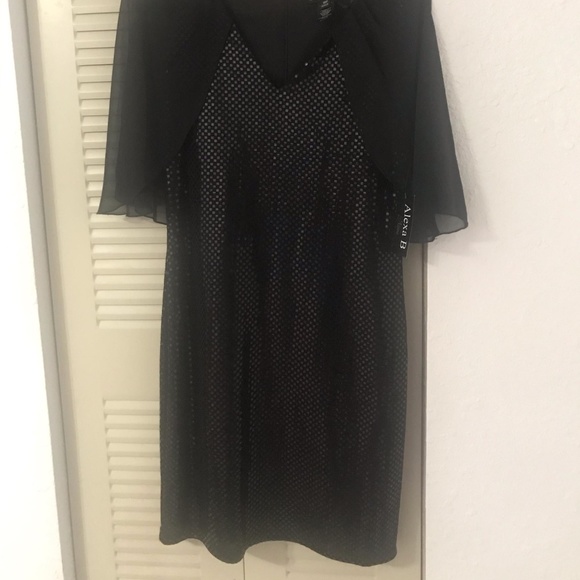 Alexa B Evening Party Dress with attached Cape Sz. 10P - Picture 2 of 5